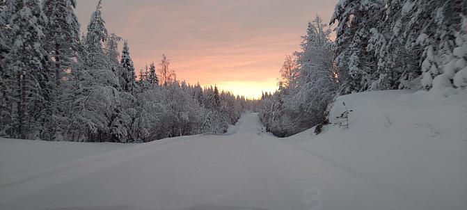 A sunset in a snowy forest landscape.