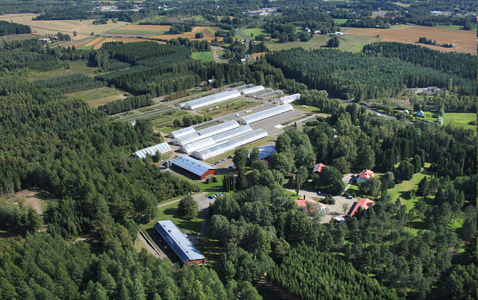 Haapastensyrjä ilmakuva