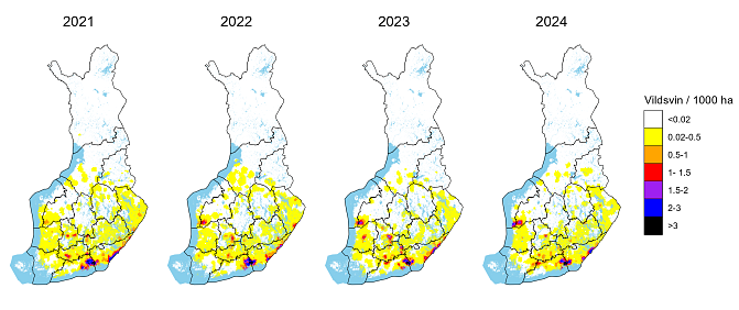 Regionalt sett finns det fortfarande flest vildsvin i sydöstra Finland och östra Nyland, men det finns också enstaka vildsvin på andra håll i västra och södra Finland. 