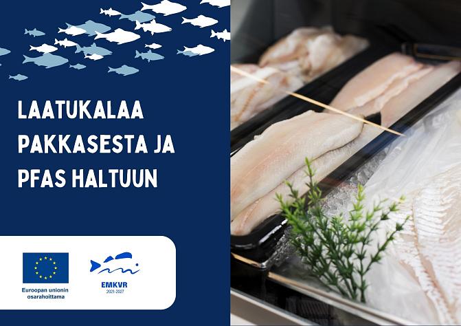 Laatukalaa pakkasesta ja PFAS haltuun