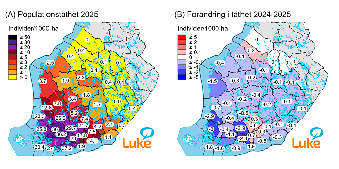 Vitsvanshjortstammen är som störst (> 30 individer/1 000 ha) i Egentliga Finland, Södra Tavastland, Satakuntas södra delar och i Västra Nyland