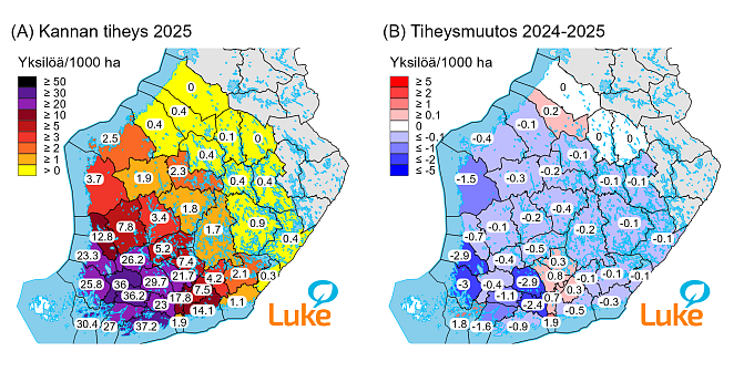 Valkohäntäpeuran tiheys ja tiheysmuutos hirvitalousalueittain kevättalvella 2025.