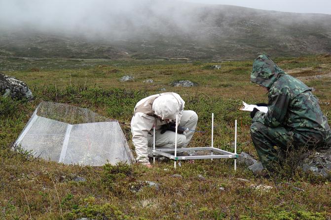 Kilpisjärven koekentällä tehdään maastotöitä hyytävässä viimassa