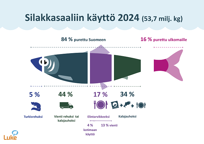 Graafissa esitetään kalan ensiostoilmoituksiin ja kalan ulkomaankauppatilastoon perustuvia tietoja silakkasaaliin käytöstä vuonna 2024. Saalis oli 53,7 miljoonaa kiloa, ja 84 % siitä purettiin Suomeen ja 16 % ulkomaille. Suomeen puretusta silakkasaaliista 5 % käytettiin turkisrehuna, 34 % kalajauhona, 17 % elintarvikkeena ja 44 % vietiin ulkomaille rehuksi tai kalajauhon raaka-aineeksi.