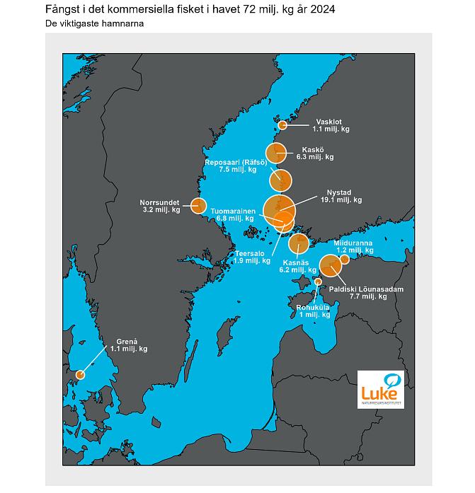 De viktigaste hamnarna i det kommersiella fisket i havet år 2024