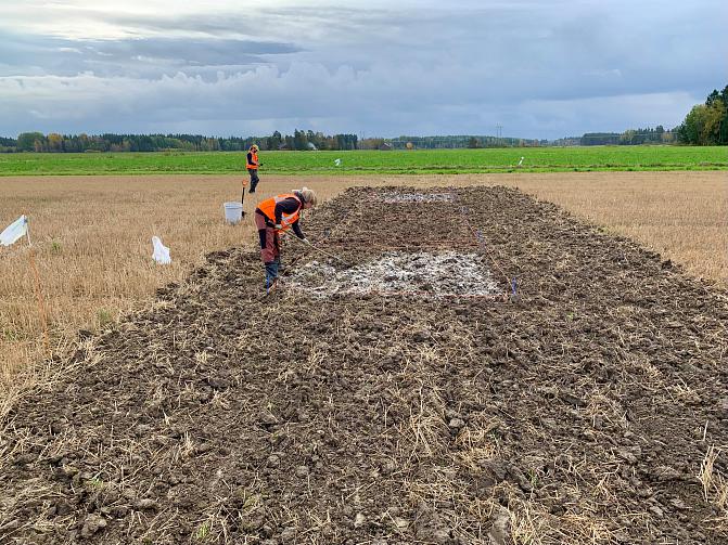 maanparannusaineita levitetään pellolle