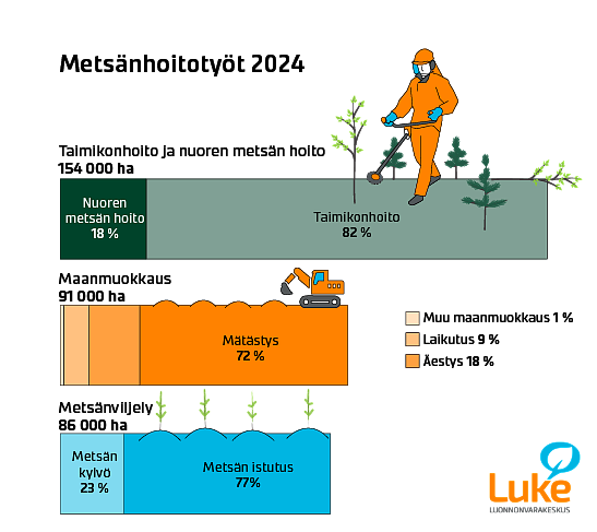 Vuoden 2024 taimikonhoito- ja maanmuokkausmäärät esitettynä kuvallisesti.