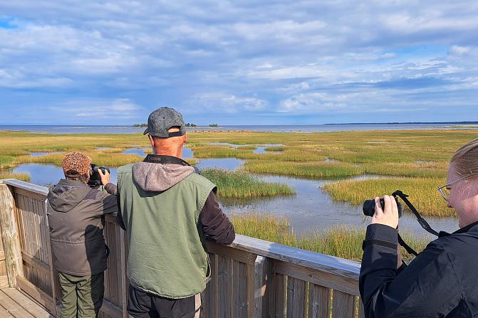 Kolme ihmistä katsomassa kosteikkomaisemaa lintutornissa.