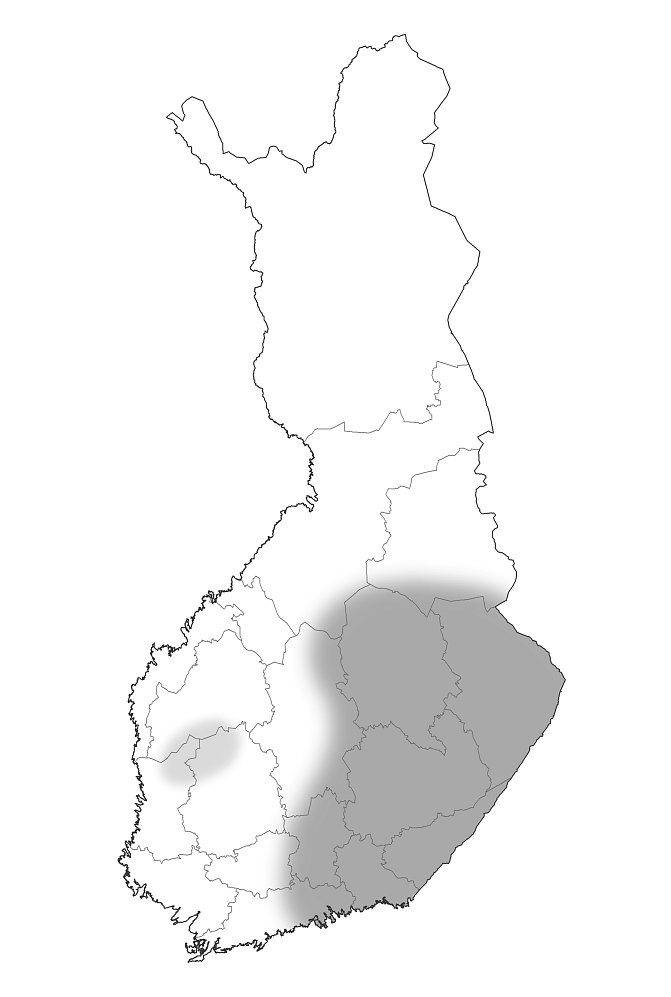 myyrätiheys suomessa kesä 2025