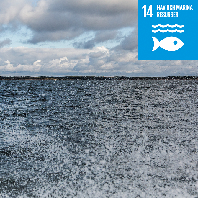 Mål 14, hav och marina resurser.