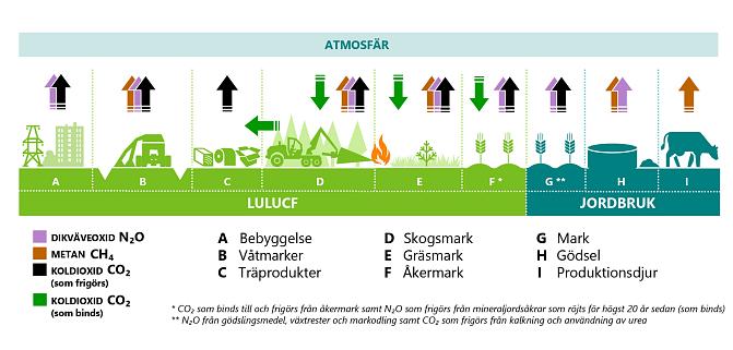 Fördelning av utsläpp och upptag i växthusgasinventeringen