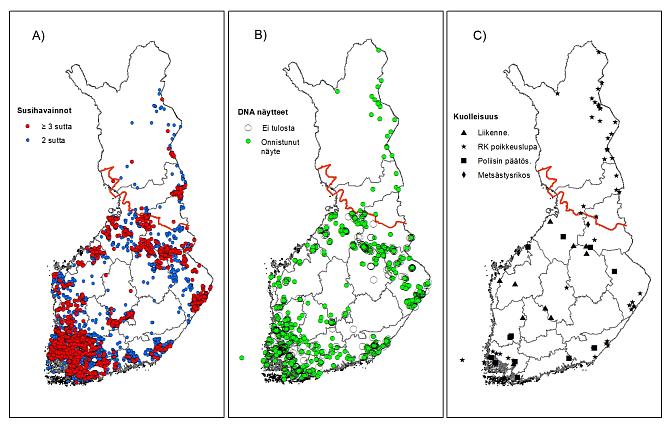 Suden kannanarvioinnissa aineistoina käytetään muun muassa pari- ja laumahavaintoja sekä DNA-analyysien tuloksia sekä tunnettua kuolleisuutta.