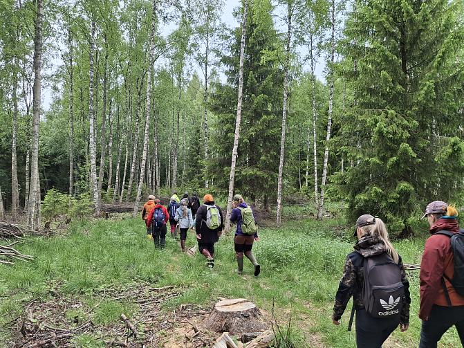 Ihmisiä kävelemässä polulla metsässä.