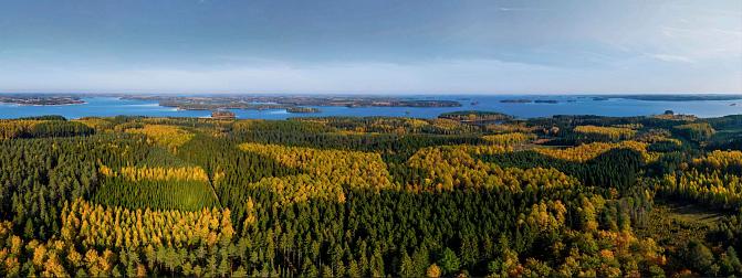 ilmakuva Punkaharjun tutkimusmetsästä