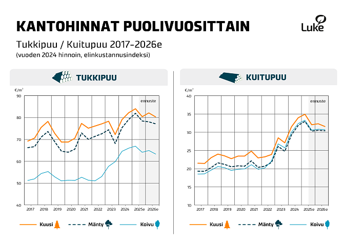 kantohinnat infograafi