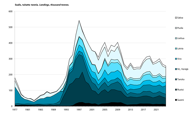Kilohailin saalis on pysynyt melko vakaana yli 10 vuotta.