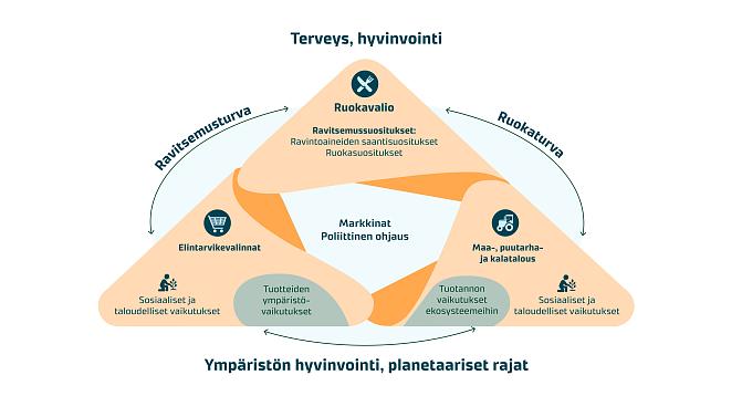Kuvassa kerrotaan, mistä ruoan ympäristökestävyys rakentuu. 