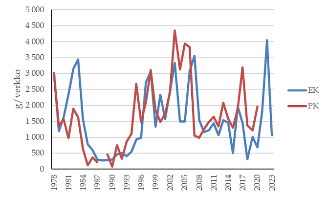 Muikun yksikkösaalis verkoissa (g/verkkovrk) on vaihdellut voimakkaasti Etelä- ja Pohjois-Konnevedellä vuosina 1978-2023. Muikkukadon aikaan1980-luvulla se on ollut lähes nolla ja korkeimmillaan yli 4 kg.