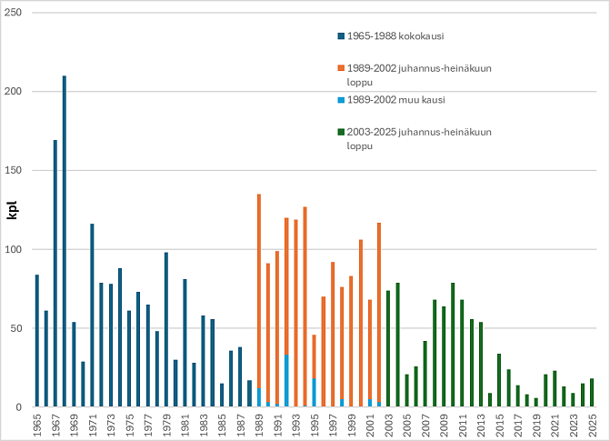 Oulankajoen Kiutakönkään ylisiirtopyynnin taimensaaliit ovat vaihdelleet suuresti. Vuodesta 1989 on vertailukelpoisesti erotettavissa juhannuksen jälkeinen jakso, jolloin taimenmäärä on ollut aleneva.