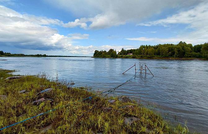 Lohien noususeurantaan liittyvää kaikuluotausta Tornionjoen Kattilakoskella vuonna 2025. 