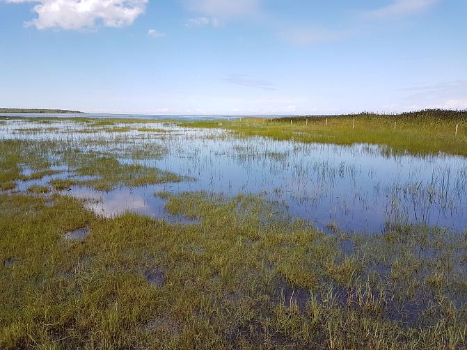 Hailuodon rantamaisema. 