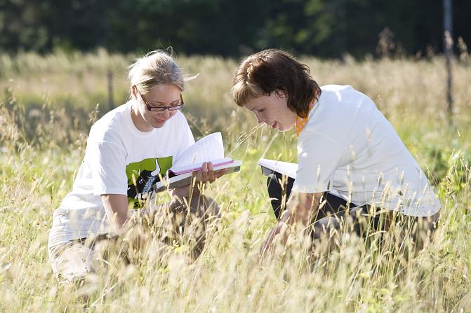 Maisemanhoidon suunnittelua