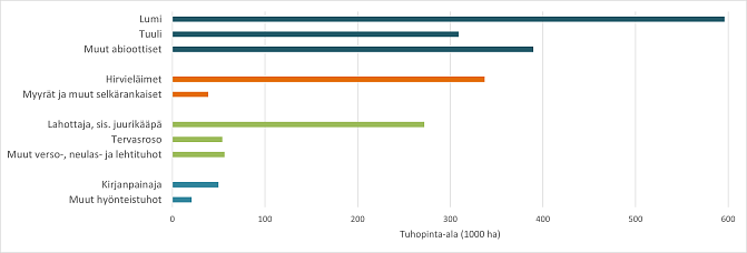 Abioottiset tuhonaiheuttajat kuten lumi ja tuuli, hirvieläimet, ja lahottajasienet kuten juurikääpä ovat pinta-alalla mitattuna yleisimmät tuhonaiheuttajat VMI maastokierrokselta 2025.