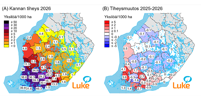 Valkohäntäpeurakanta on tiheimmillään Läntisellä Uudellamaalla ja Varsinais-Suomessa (40–46 yksilöä/1000 ha). 