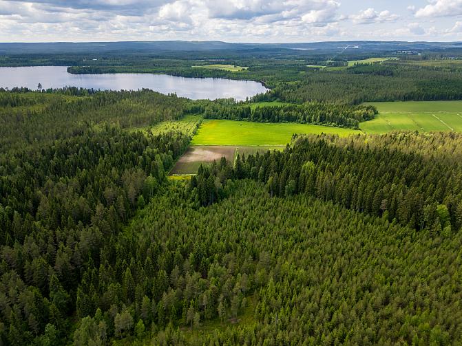 Ilmakuvamaisema, jossa peltoa, metsää ja järvi