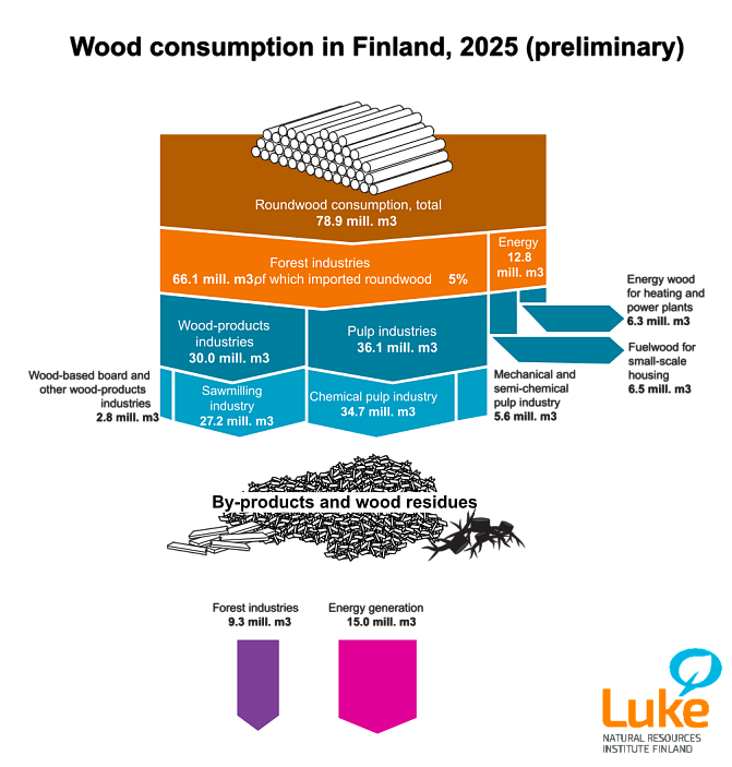 Puun käyttö 2025 (ennakko) EN