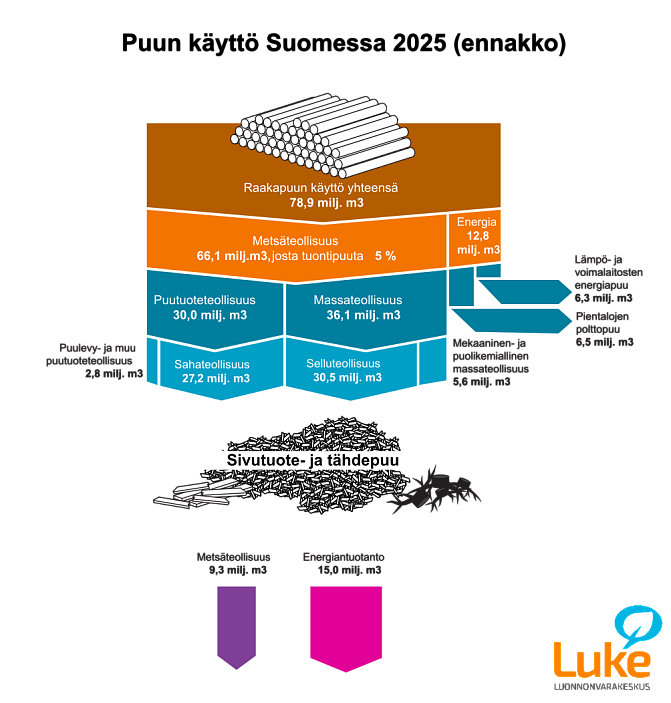 Puun käyttö 2025 (ennakko) FI