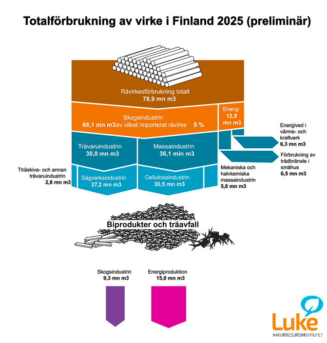 Puun käyttö 2025 (ennakko) SV