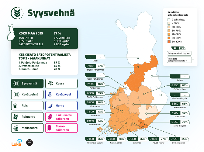 Kuvassa on Suomen kartta, johon on kuvattu syysvehnän satopotentiaali maakuntakohtaisesti ja valtakunnan tasolla.