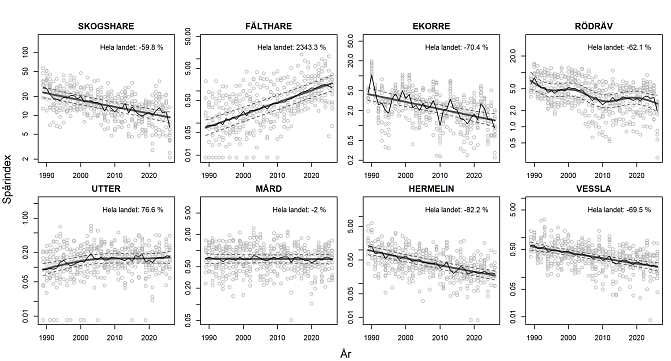 Figur 1. Artspecifik utveckling av spårindex i hela landet på basis av vilttriangelinventeringar 1989–2026. 