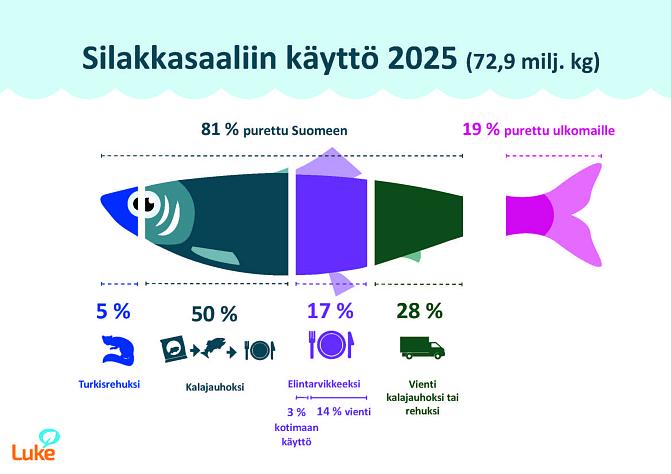 Graafissa esitetään kalan ensiostoilmoituksiin, yrityshaastatteluihin ja kalan ulkomaankauppatilastoon perustuvia tietoja silakkasaaliin käytöstä. 81 % saaliista purettiin Suomeen ja 19 % ulkomaille. Suomeen puretusta silakkasaaliista 5 % käytettiin turkisrehuna, 50 % kalajauhona, 17 % elintarvikkeena Suomessa tai ulkomailla ja 28 % vietiin ulkomaille rehuksi tai kalajauhon raaka-aineeksi. Suomessa elintarvikkeena käytettiin vain 3 prosenttia kotimaahan puretusta silakkasaaliista.