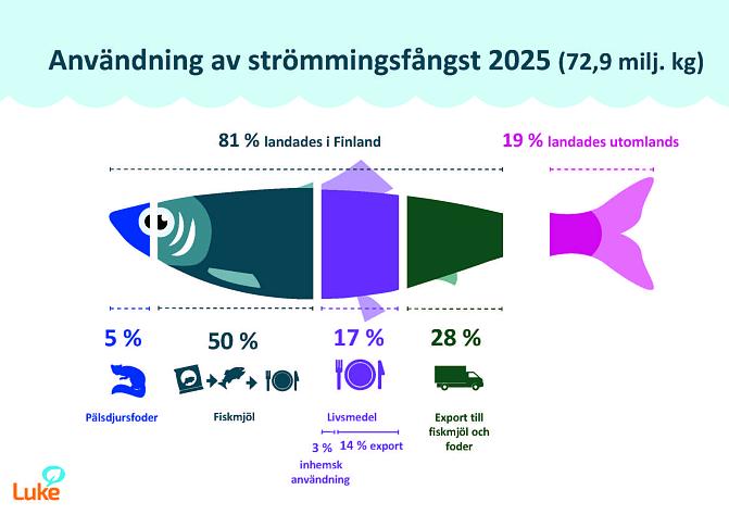 Diagrammet visar uppgifter om användningen av strömmingfångsten, baserade på anmälningar om första inköp av fisk. 81 % av fångsten lossades i Finland och 19 % utomlands. Av den strömmingfångst som landades i Finland användes 5 % som pälsdjursfoder, 50 % som fiskmjöl, 17 % som livsmedel i Finland eller utomlands och 28 % exporterades utomlands som foder eller råvara till fiskmjöl. I Finland användes 3 % av den strömmingfångst som landades i Finland.