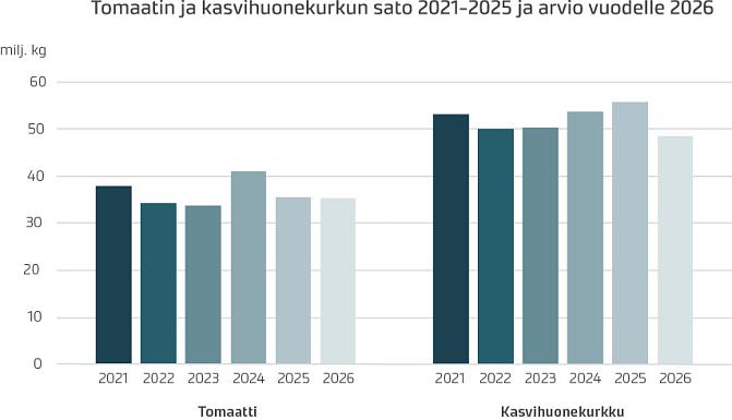 Tomaatin ja kasvihuonekurkun sato. 