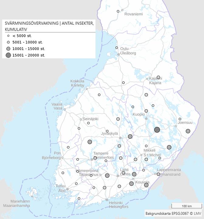 Karta över Finland som visar de kumulativa fångstmängderna i granbarkborrefällor i juni 2026. Cirklarnas storlek anger fångstens storlek (under 5000 – över 15 000 individer), och de största fångsterna koncentreras till östra och sydöstra Finland.