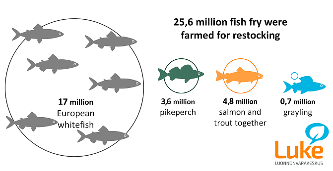 25,6 million fish fry were farmed for restocking