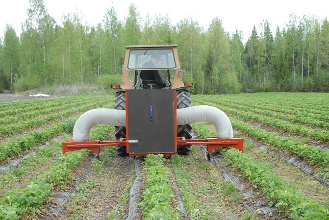 Ötökköimuri traktorin perässä mansikkamaalla