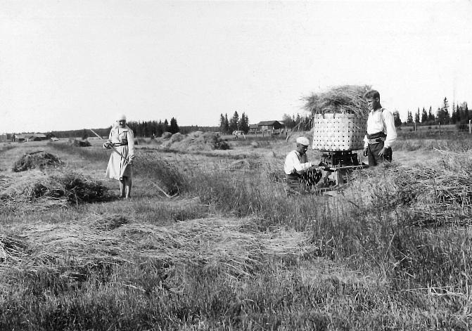 Mustavalkoinen kuva Luken Ruukin koeaseman historiasta. Kuvassa näkyy pelto ja nainen sekä kaksi miestä heinätöissä.