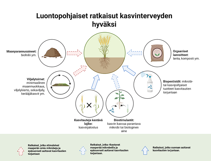 Luontopohjaiset ratkaisut kasvinterveyden hyväksi
