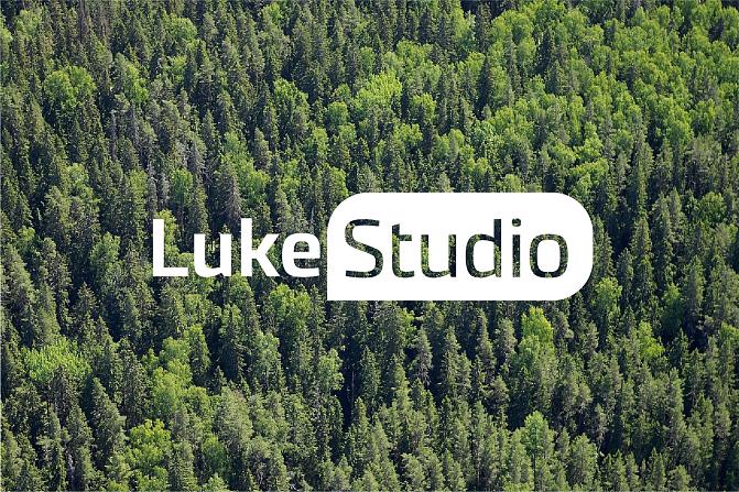 LukeStudio Metsä