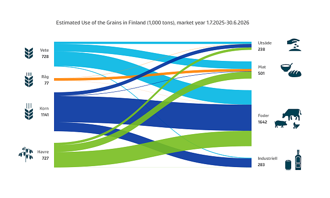 Of the 2026 cereal harvest, about 1.1 billion kilograms of barley were used in Finland during the harvest year. The total volume of wheat, oats and rye was approximately 1.5 billion kilograms. Some 1.6 billion kilograms of cereals were used for feed. The remainder, about one billion kilograms, was mainly used in the food and beverage industries and for sowing.
