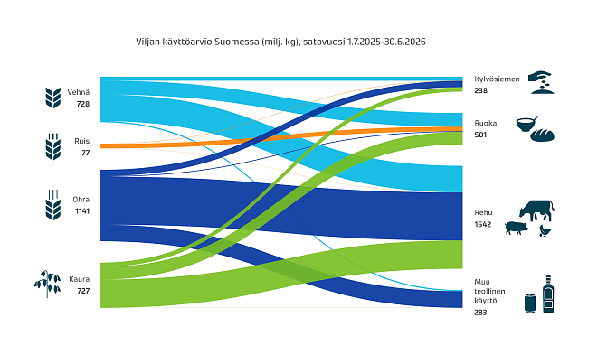 Ohraa käytettiin vuoden 2026 viljasadosta Suomessa noin 1,1 miljardia kiloa satovuoden aikana. Vehnän, kauran ja rukiin käyttömäärä oli yhteensä noin 1,5 miljardia kiloa. Rehuksi viljaa käytettiin noin 1,6 miljardia kiloa. Loppuosa eli noin miljardi kiloa käytettiin pääosin elintarvikkeiksi, juomateollisuuteen ja kylvösiemeneksi.