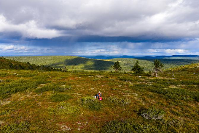 Kuvan keskellä näkyy maaperänäytteitä keräävä nainen. Kuva on otettu lintuperspektiivistä. Taistalla näkyy vihertävää metsämaisemaa sekä sinertäviä pilviä. Aurinko paistaa, mutta taustalla sataa.
