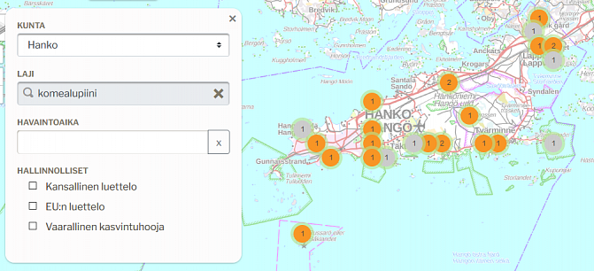 The map shows a limited observation of handsome lupine from Hanko. Confirmed findings are marked with orange balls and unconfirmed with gray balls.