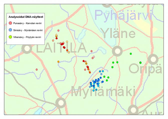 Kartassa on talven 2019—2020 aikana kerätyt susien DNA-näytteet, alue on Laitila-Mynämäki-Oripää-akselilla. Saman yksilön näytteet on merkitty keskenään samalla värisävyllä kuvaan.
