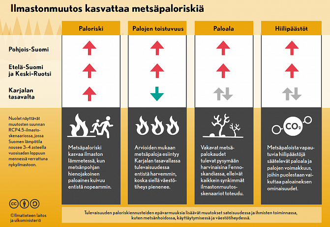 Infograafi siitä, miten ilmastonmuutos lisää metsäpaloriskiä.