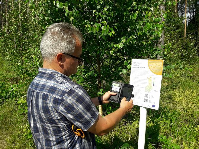 Kuvassa mieshenkilö klikkaa kännykällä opastaulun qr-koodia Punkaharjun tutkimuspuistossa.